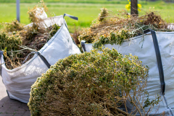 Best Construction Debris Removal  in Cedville, AR