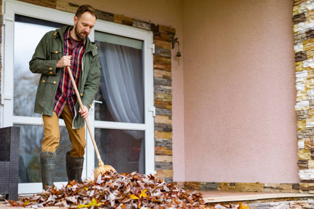 Best Yard Cleanup Services  in Cedville, AR